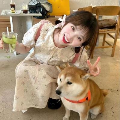 美味情缘国语
